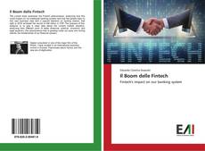 Il Boom delle Fintech的封面