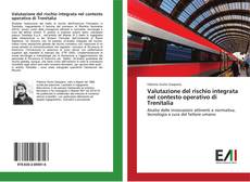 Capa do livro de Valutazione del rischio integrata nel contesto operativo di Trenitalia 