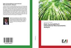 Buchcover von Debt Sustainability:A International Macroeconomic Analysis