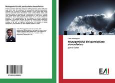 Portada del libro de Mutagenicità del particolato atmosferico