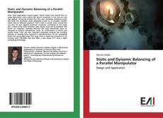 Copertina di Static and Dynamic Balancing of a Parallel Manipulator