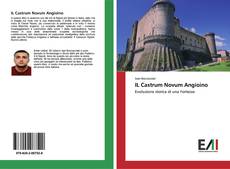 Buchcover von IL Castrum Novum Angioino