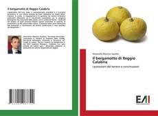 Il bergamotto di Reggio Calabria kitap kapağı