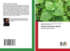 Coleus aromaticus Benth kitap kapağı