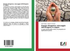 Bookcover of Energia idrogenica: stoccaggio dell'idrogeno in coppia