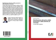 Bookcover of Distribuzione dinamica della pressione e della densità di corrente