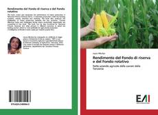 Portada del libro de Rendimento del Fondo di riserva e del Fondo rotativo