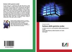 Buchcover von Settore delle gomme arabe