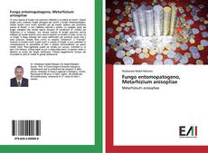 Bookcover of Fungo entomopatogeno, Metarhizium anisopliae