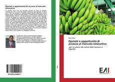 Copertina di Opzioni e opportunità di accesso al mercato innovative