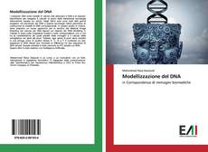 Bookcover of Modellizzazione del DNA