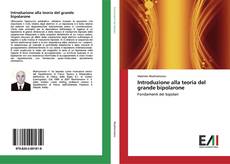 Capa do livro de Introduzione alla teoria del grande bipolarone 