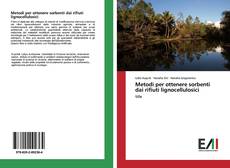 Capa do livro de Metodi per ottenere sorbenti dai rifiuti lignocellulosici 