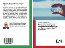 Bookcover of Rimozione di composti organoclorurati selezionati mediante processi basati sull'ozono