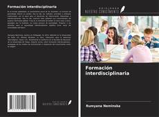Formación interdisciplinaria的封面