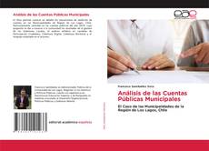 Couverture de Análisis de las Cuentas Públicas Municipales