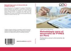 Metodología para el desarrollo de PYMES en Perú kitap kapağı