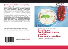 Capa do livro de Estudio de Factibilidad queso palmito Coopeagrovega R.L. 