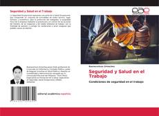 Bookcover of Seguridad y Salud en el Trabajo