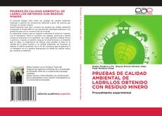 Обложка PRUEBAS DE CALIDAD AMBIENTAL DE LADRILLOS OBTENIDO CON RESIDUO MINERO