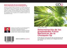 Determinación de las propiedades Físico Mecánicas de la Chusquea Sp kitap kapağı