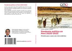 Bookcover of Pandemia política en Perú 2020-2023