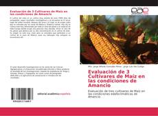 Bookcover of Evaluación de 3 Cultivares de Maíz en las condiciones de Amancio