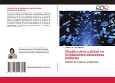 Copertina di Gestión de la calidad en instituciones educativas públicas