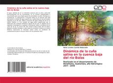 Bookcover of Dinámica de la cuña salina en la cuenca baja del río Bolas
