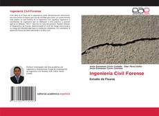 Buchcover von Ingeniería Civil Forense