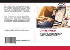 Bookcover of Gerencia Virtual