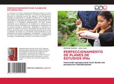 Buchcover von PERFECCIONAMIENTO DE PLANES DE ESTUDIOS IPAs