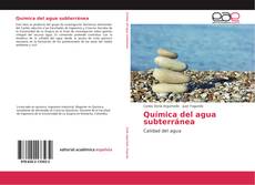 Buchcover von Química del agua subterránea