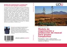 Buchcover von Modelo de organización y producción de mezcal para grupos campesinos