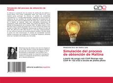 Buchcover von Simulación del proceso de obtención de Maltina