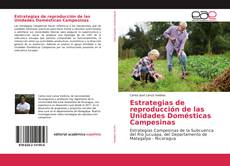 Buchcover von Estrategias de reproducción de las Unidades Domésticas Campesinas
