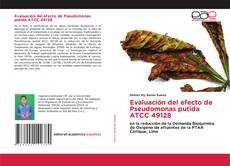 Bookcover of Evaluación del efecto de Pseudomonas putida ATCC 49128