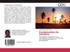 Buchcover von Fundamentos de Geoética