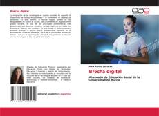 Brecha digital的封面