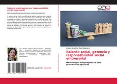 Balance social, gerencia y responsabilidad social empresarial的封面