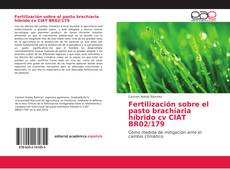 Bookcover of Fertilización sobre el pasto brachíaria híbrido cv CIAT BR02/179