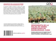 Обложка DEMOGRAFÍA DE LA PALMA DE SIERRA ESPIRITUANA EN BAMBURANAO, CUBA