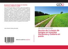 Couverture de Acción de 3 clases de hongos en insectos Hortensia y Collaria en pasto