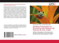 Capa do livro de Anfibios Presentes en Bromelias del Bosque de Hornos de Cal, Cuba 