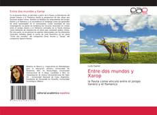 Buchcover von Entre dos mundos y Xarop