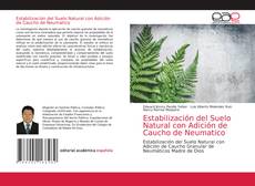 Capa do livro de Estabilización del Suelo Natural con Adición de Caucho de Neumatico 