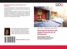 Portada del libro de Buenas Prácticas de mano factura en el Colmenar