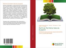 Bookcover of Perfil do Território Vale do Guaporé