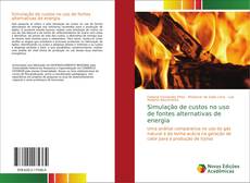 Simulação de custos no uso de fontes alternativas de energia的封面