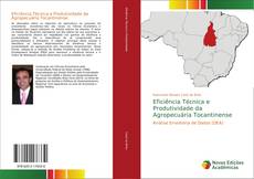 Capa do livro de Eficiência Técnica e Produtividade da Agropecuária Tocantinense 